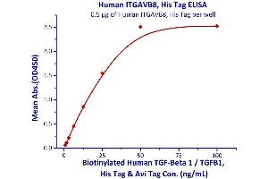 Measured by its binding ability in a functional ELISA.