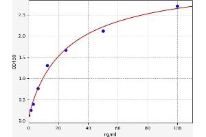 Regenerating Islet Derived Protein 3 gamma (REG3g) ELISA Kit