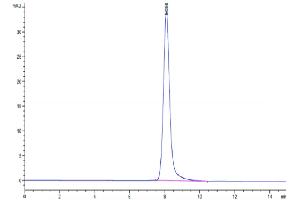 Size-exclusion chromatography-High Pressure Liquid Chromatography (SEC-HPLC) image for CD59 (CD59) (AA 26-102) protein (Fc Tag) (ABIN7274197)