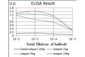 Black line: Control Antigen (100 ng), Purple line: Antigen(10 ng), Blue line: Antigen (50 ng), Red line: Antigen (100 ng), (BRCA1 抗体  (AA 229-335))