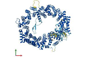 Protein Structure (PS) image for Exportin 1 (XPO1) (AA 1-1071) protein (His tag) (ABIN7556038)