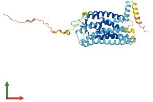 Protein Structure (PS) image for Chemokine (C-X-C Motif) Receptor 1 (CXCR1) (AA 1-350) protein (His tag) (ABIN7546891)