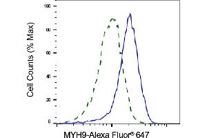 Validation of MYH9 knockdown using flow cytometry. (Myosin 9 抗体)