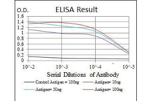 Black line: Control Antigen (100 ng), Purple line: Antigen(10 ng), Blue line: Antigen (50 ng), Red line: Antigen (100 ng),