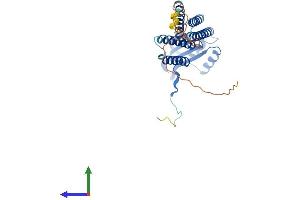 Protein Structure (PS) image for Dual Oxidase Maturation Factor 1 (DUOXA1) (AA 1-343) protein (His tag) (ABIN7547120)
