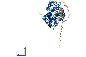 Protein Structure (PS) image for Solute Carrier Family 38, Member 2 (SLC38A2) (AA 1-506) protein (His tag) (ABIN7555404)