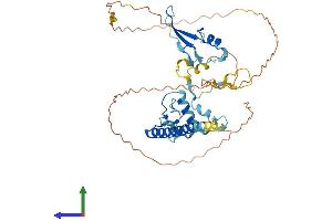 Protein Structure (PS) image for Methyl-CpG Binding Domain Protein 2 (MBD2) (AA 1-411) protein (His tag) (ABIN7549234)