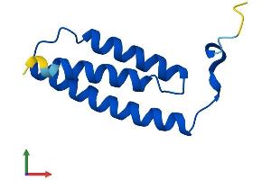 AlphaFold protein structure predicition of Human Recombinant LYRM4 Protein, UniprotID Q9HD34