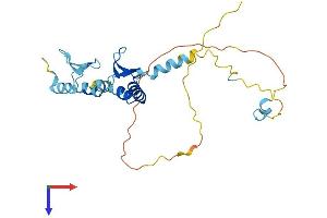 SURF2 Protein (AA 1-257) (His tag)