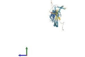 Protein Structure (PS) image for Kinesin Family Member 11 (KIF11) (AA 1-1056) protein (His tag) (ABIN7554309)