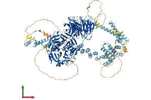 Protein Structure (PS) image for Gem (Nuclear Organelle) Associated Protein 5 (GEMIN5) (AA 1-1508) protein (His tag) (ABIN7553999)