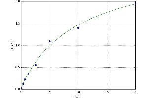 A typical standard curve