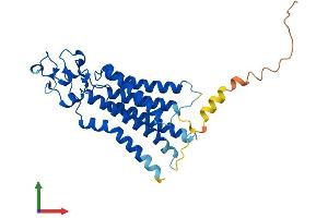AlphaFold protein structure predicition of Human Recombinant PLPP2 Protein, UniprotID O43688 (PPAP2C Protein (AA 1-288) (His tag))