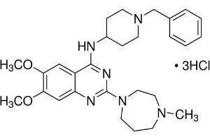 Chemical structure of BIX-01294 , a Histone methyltransferase inhibitor.
