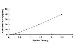 Typical standard curve (ALDOC ELISA 试剂盒)