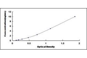 Typical standard curve (CHD4 ELISA 试剂盒)