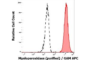 Separation of human neutrophil granulocytes (red-filled) from lymphocytes (black-dashed) in flow cytometry analysis (intracellular staining) of human peripheral whole blood stained using anti-human Myeloperoxidase (MPO421-8B2) purified antibody (concentration in sample 1 μg/mL) GAM APC. (Myeloperoxidase 抗体)