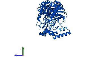 Protein Structure (PS) image for Glycerol Kinase 5 (Putative) (GK5) (AA 1-529) protein (His tag) (ABIN7547967)