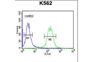 Flow cytometric analysis of K562 cells (right histogram) compared to a negative control cell (left histogram). (Galanin Receptor 1 抗体  (AA 174-200))