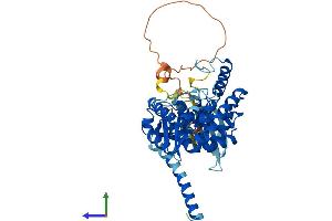 Protein Structure (PS) image for Tryptophan Hydroxylase 2 (TPH2) (AA 1-490) protein (His tag) (ABIN7544547)