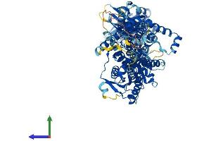 Protein Structure (PS) image for Post-GPI Attachment To Proteins 1 (PGAP1) (AA 1-922) protein (His tag) (ABIN7563755)