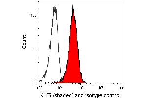 Flow Cytometry (FACS) image for anti-Kruppel-Like Factor 5 (Intestinal) (KLF5) (AA 325-375) antibody (ABIN7795630) (Recombinant KLF5 抗体  (AA 325-375))