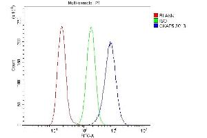 Flow Cytometry analysis of A549 cells using anti-Ch TOG/CKAP5 antibody (ABIN7599106).