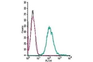 Cell surface detection of Neuropilin-1 by indirect flow cytometry in live intact mouse J774 macrophage cells:  (black line) Cells. (Neuropilin 1 抗体  (Extracellular, N-Term))