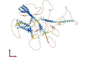 AlphaFold protein structure predicition of Human Recombinant KCNQ5 Protein, UniprotID Q9NR82 (KCNQ5 Protein (AA 1-932) (His tag))