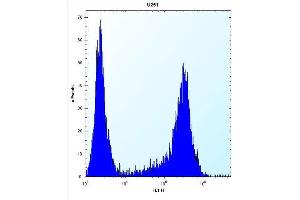 Flow Cytometry (FACS) image for anti-Hes Family bHLH Transcription Factor 1 (HES1) (AA 9-38), (N-Term) antibody (ABIN390222)