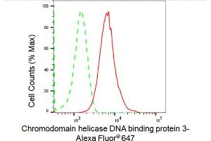 Flow cytometric analysis of Chromodomain helicase DNA binding protein 3 expression in HepG2 cells using Chromodomain helicase DNA binding protein 3 antibody (ABIN7798068), 1:2,000). (Recombinant CHD3 抗体)