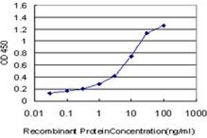 Detection limit for recombinant GST tagged LRRFIP1 is approximately 0. (LRRFIP1 抗体  (AA 675-784))