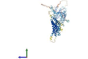 Protein Structure (PS) image for Signal Recognition Particle 68kDa (SRP68) (AA 1-625) protein (His tag) (ABIN7558757)