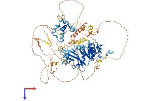 AlphaFold protein structure predicition of Human Recombinant LPIN2 Protein, UniprotID Q92539 (Lipin 2 Protein (LPIN2) (AA 1-896) (His tag))