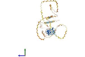 Protein Structure (PS) image for Macrophage Receptor with Collagenous Structure (MARCO) (AA 1-518) protein (His tag) (ABIN7557602)
