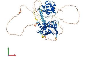 Protein Structure (PS) image for SMAD Family Member 4 (SMAD4) (AA 1-551) protein (His tag) (ABIN7563553)