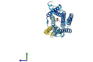Protein Structure (PS) image for Melanocortin 1 Receptor (MC1R) (AA 1-315) protein (His tag) (ABIN7556860)