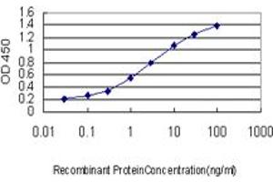 Detection limit for recombinant GST tagged RAB33B is approximately 0. (RAB33B 抗体  (AA 117-206))