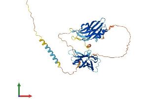 Protein Structure (PS) image for Synaptotagmin IV (SYT4) (AA 1-425) protein (His tag) (ABIN7563215)