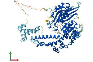 AlphaFold protein structure predicition of Mouse Recombinant Dennd6b Protein, UniprotID Q9D9V7 (DENND6B Protein (AA 1-585) (His tag))