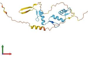 Protein Structure (PS) image for Zinc Finger Protein 740 (ZNF740) (AA 1-193) protein (His tag) (ABIN7545355)