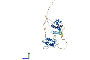 Protein Structure (PS) image for Proximal Sequence Element 1 (SPDEF) (AA 1-325) protein (His tag) (ABIN7556244)
