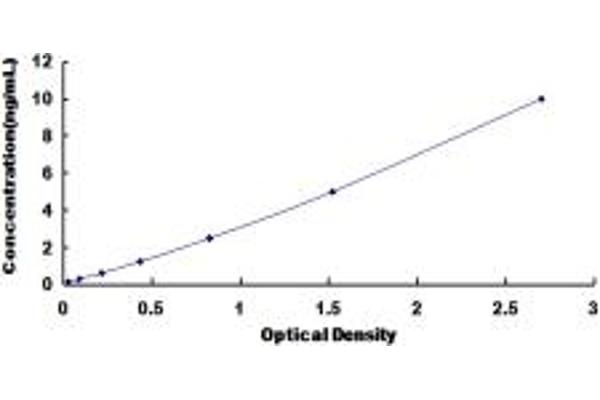 Annexin A9 ELISA 试剂盒