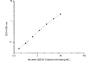 Typical standard curve (GCLM ELISA 试剂盒)