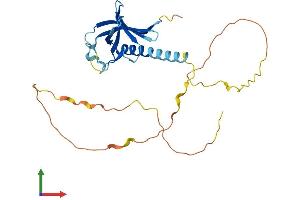 Protein Structure (PS) image for NECAP Endocytosis Associated 2 (NECAP2) (AA 1-263) protein (His tag) (ABIN7549781)