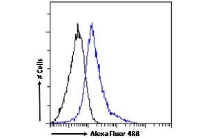 (ABIN185563) Flow cytometric analysis of paraformaldehyde fixed A549 cells (blue line), permeabilized with 0.