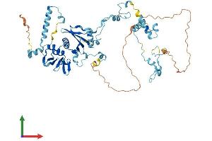 Protein Structure (PS) image for tRNA Splicing Endonuclease 54 (TSEN54) (AA 1-526) protein (His tag) (ABIN7555452)