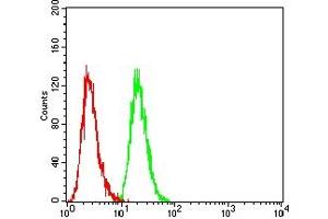 Flow cytometric analysis of Hepg2 cells using PMS2 mouse mAb (green) and negative control (red).