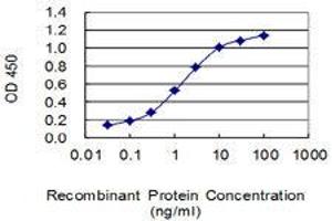 Detection limit for recombinant GST tagged NANOS1 is 0. (Nanos Homolog 1 抗体  (AA 206-270))