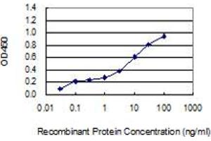 Detection limit for recombinant GST tagged LCT is 0. (LCT 抗体  (AA 32-129))
